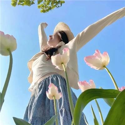 没有小鸟的天空