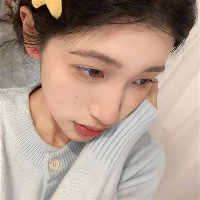 棉尾兔